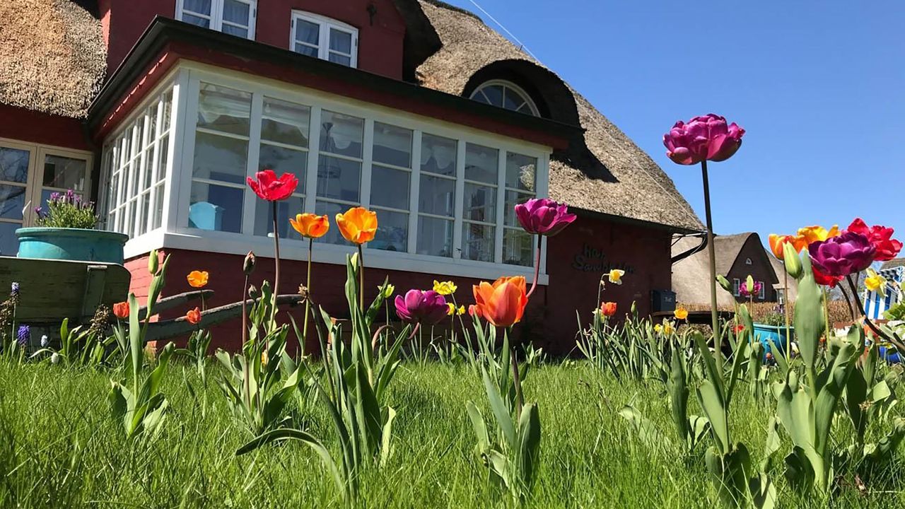 Hauptansicht Hauptansicht